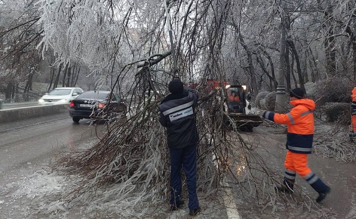Три человека пострадали в Ростове из-за упавших деревьев