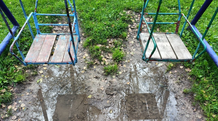 В Омске лось проник на детскую площадку