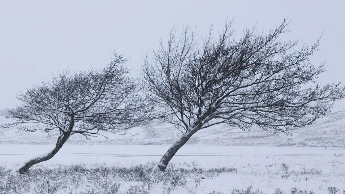 Штормовое предупреждение из-за сильного ветра действует в Краснодарском крае