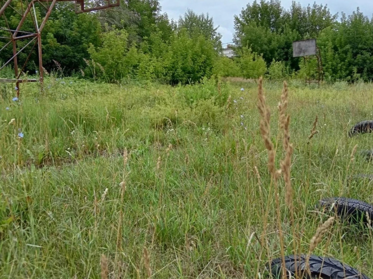 В Муроме обновят стадион на Фанерном