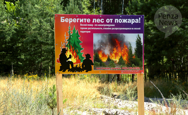 В Пензенской области ликвидировано три лесных пожара. Фото из архива ИА «PenzaNews»