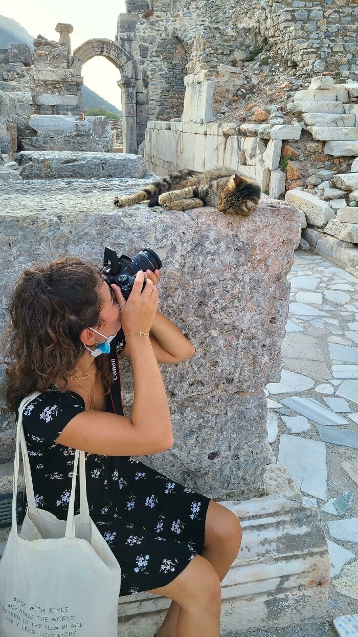 15. Руины Эфеса в Турции. Там было больше кошек, чем людей