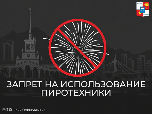 Администрация Сочи обращается к жителям и туристам с категорическим запретом использования пиротехники в период празднования День Победы