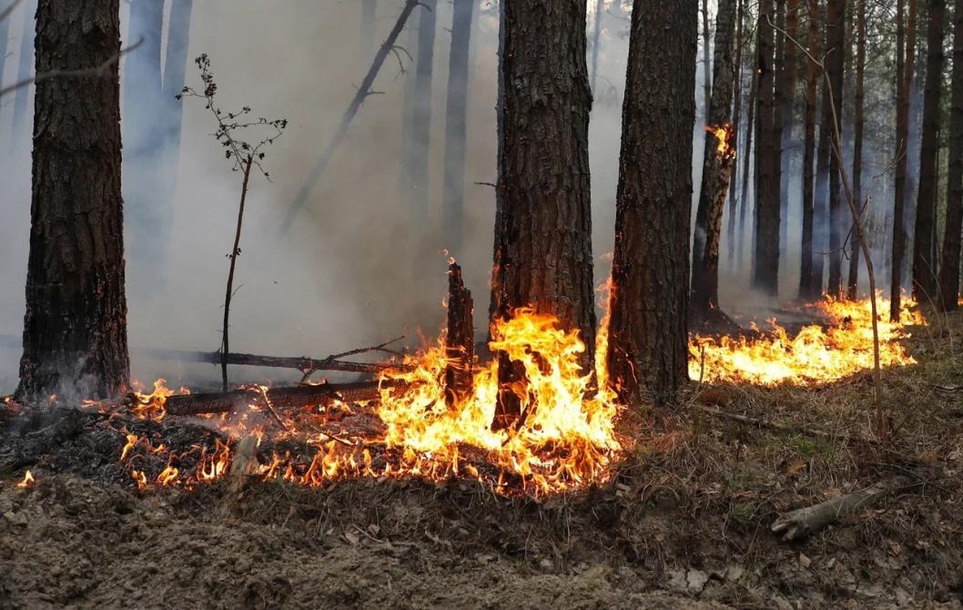 Фото пожаров в тюменской области