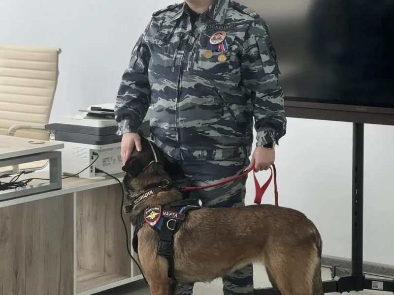 JPEG Файл