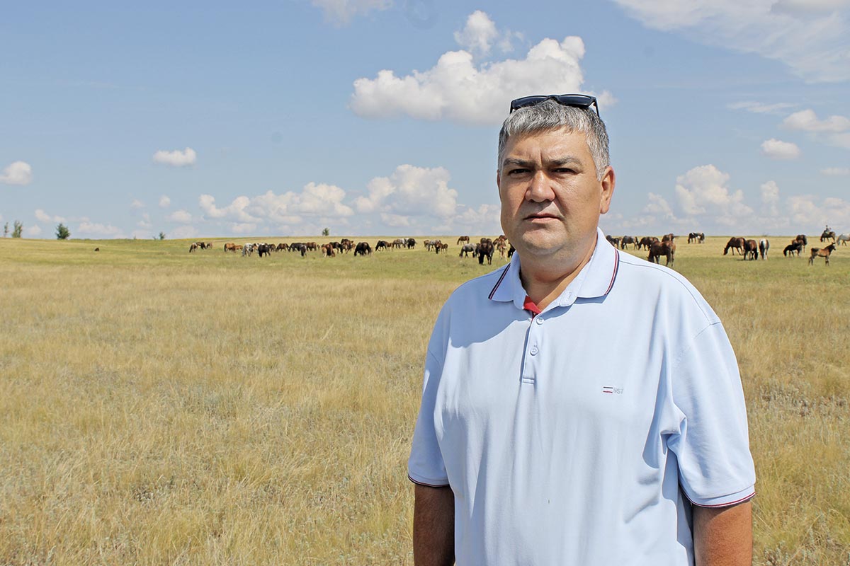 кфх маркин. самара фермеры сам области. коровы в горняке. грант по сельскому хозяйству 2022г самара. самарские фермеры.