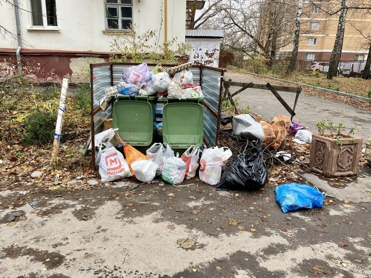 «Хартию» обвинили в появлении крыс и бездомных собак у мусорных баков в Туле