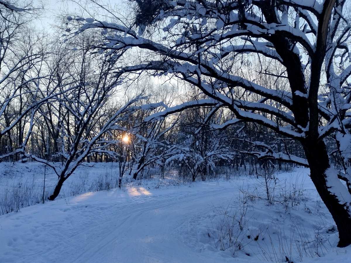 27 января ночью морозы достигнут -12...-17 градусов, днём – от -6 до -11.