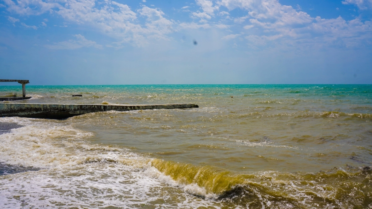 Черное море после. Открытое море Сочи. Пляж в Сочи сейчас. Днепр в черное море. Пляжи Сочи забиты.