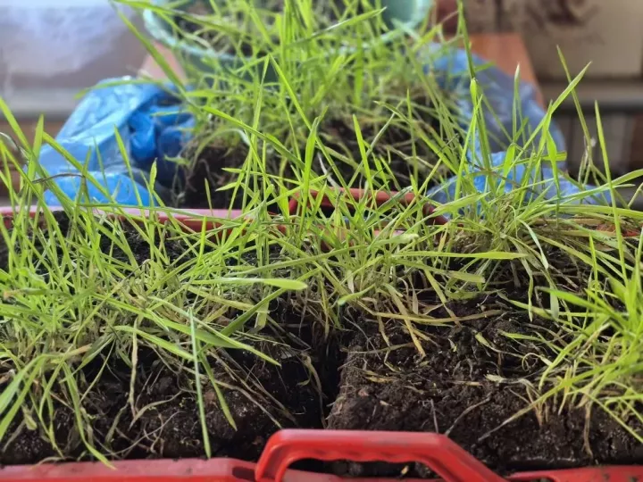 Высота снежного покрова в Мензелинске достигла 65 сантиметров