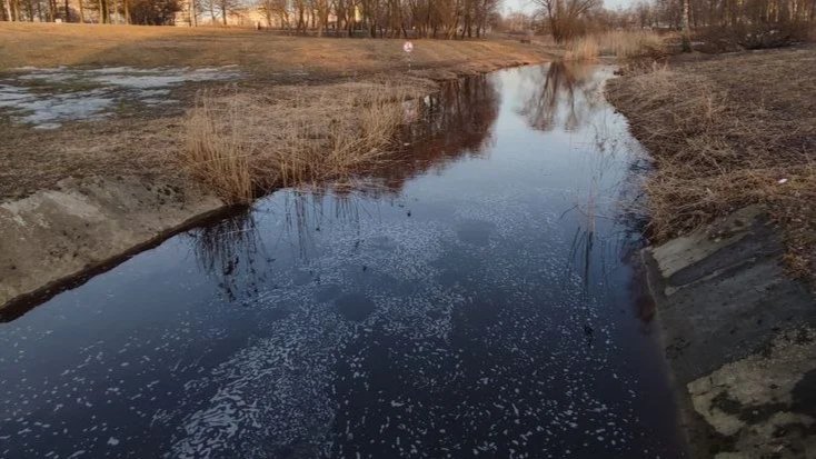 Фото: Алексей Зинчук (депутат ЗакСа СПб)