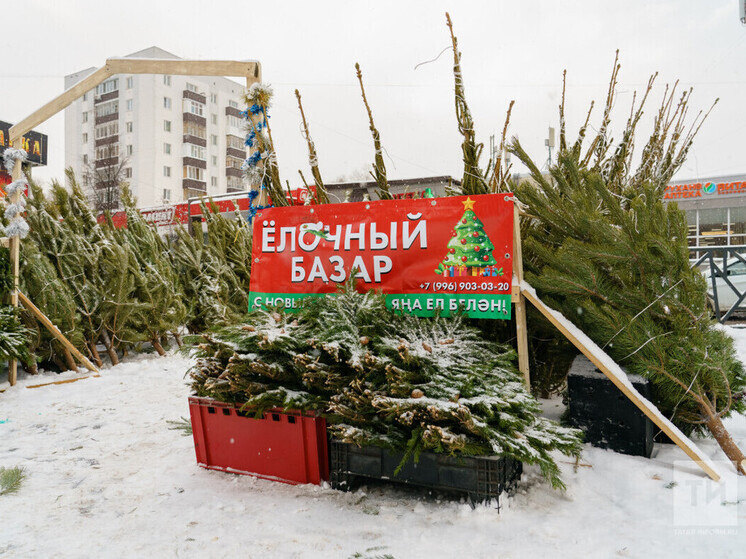 В Казани определили 20 мест, где будут размещены елочные базары