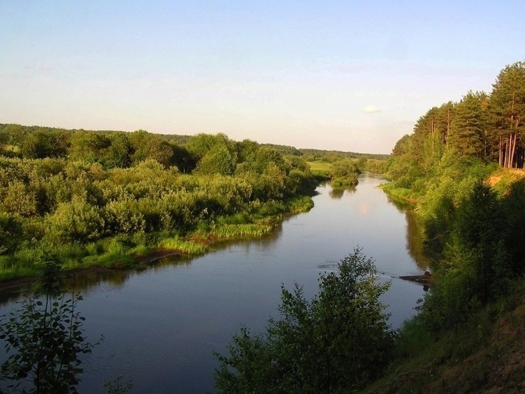 Леса Тверской области проконтролируют из космоса
