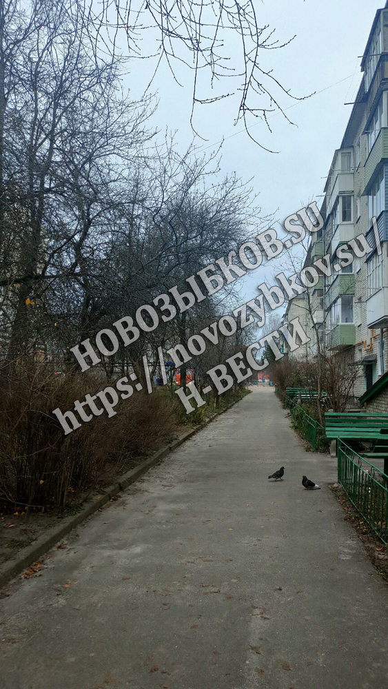 Новозыбков су новости на сегодня. Новозыбков су новости на сегодня. Новости новозыбкова. Новозыбков су новости на сегодня. Новозыбков су новости на сегодня.
