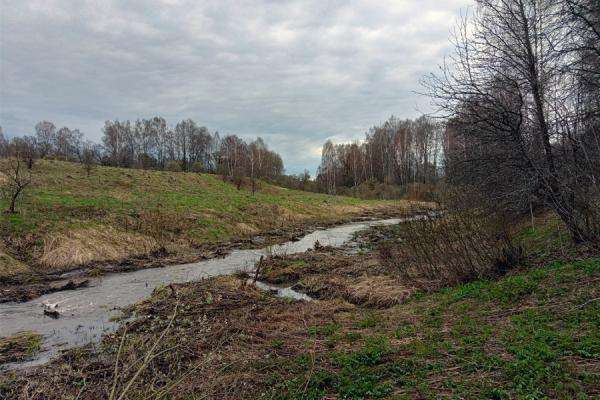 белев дождь. волово озеро тульская область. деревня ровно город белев тульская область. туман в березовом лесу. белёв город в тульской воинская часть.