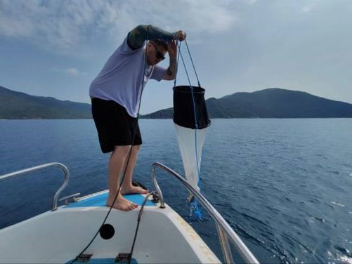 Вьетнам 4.jpg