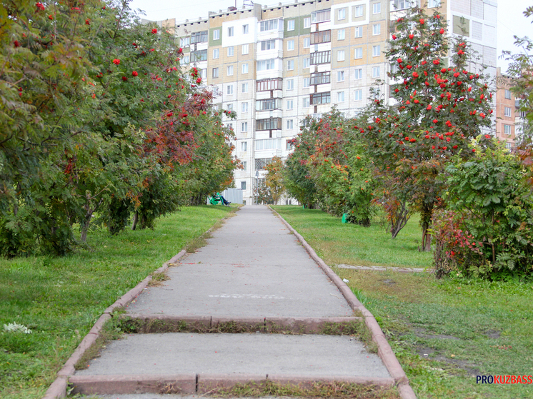 В Кузбассе погода на длинные выходные: от летнего тепла до заморозков