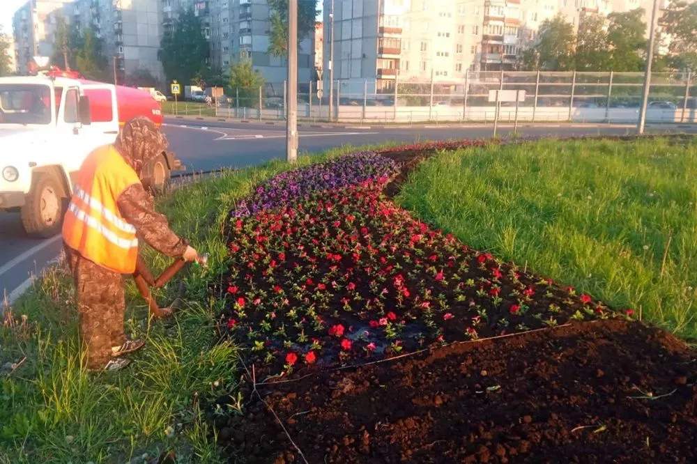 Фото 216 цветников украсят районы Нижнего Новгорода в 2023 году - Новости Живем в Нижнем