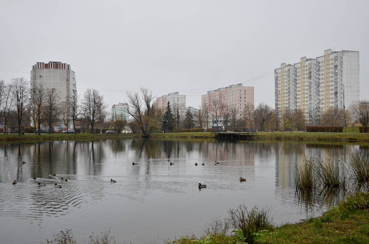 В Москве назвали самые популярные цифровые сервисы для малого бизнеса. Фото: Анна Быкова, «Вечерняя Москва»