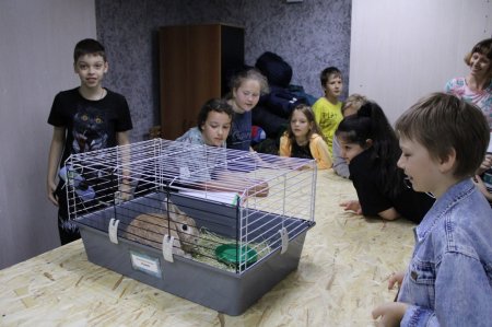 В Саратове и области благоустроят территории медицинских учреждений