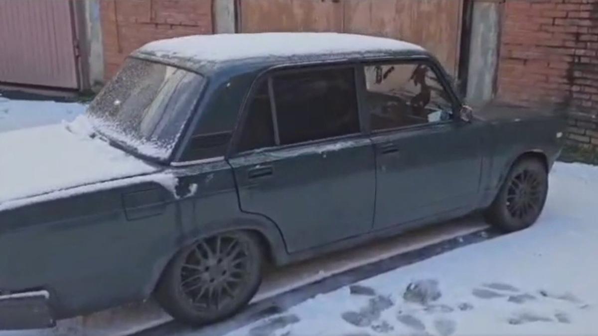 Скриншот видео: ГУ МВД по Петербургу и Ленобласти