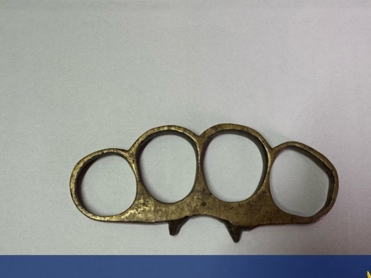 В Туле пристав не позволил пронести кастет в здание суда