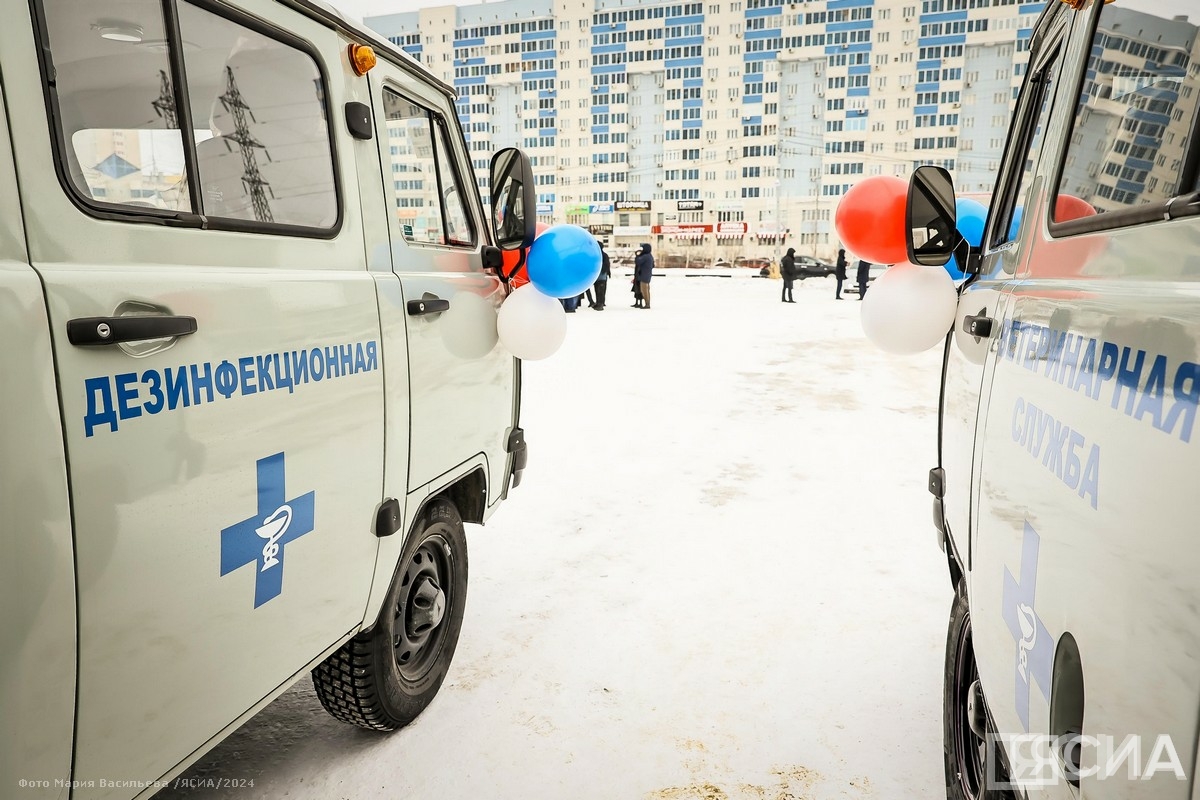 Фото: Мария Васильева/ЯСИА