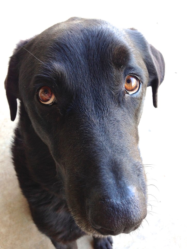 Фото: OakleyOriginals/Flickr.com