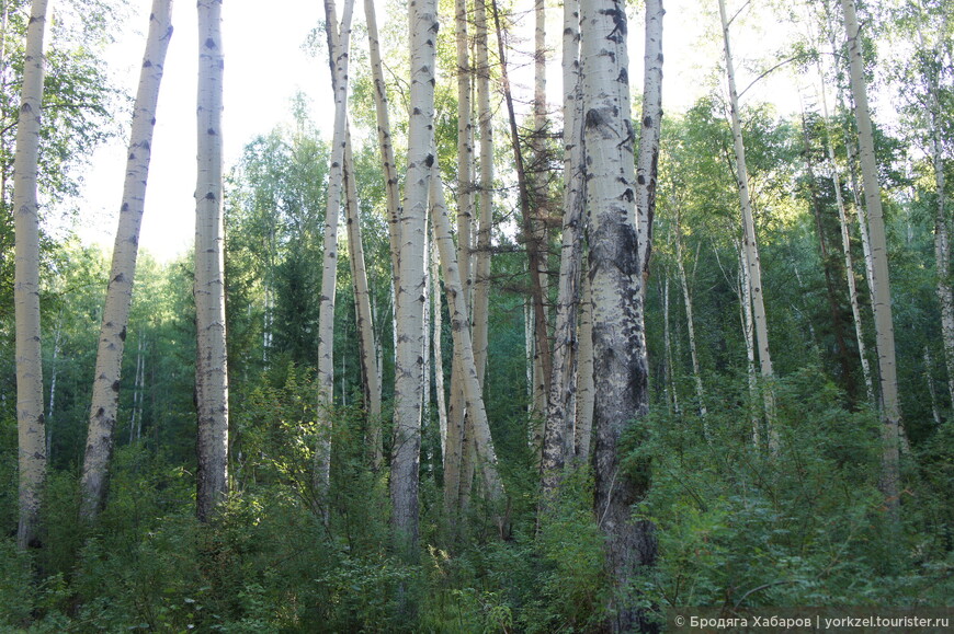 Поход по реке Белин