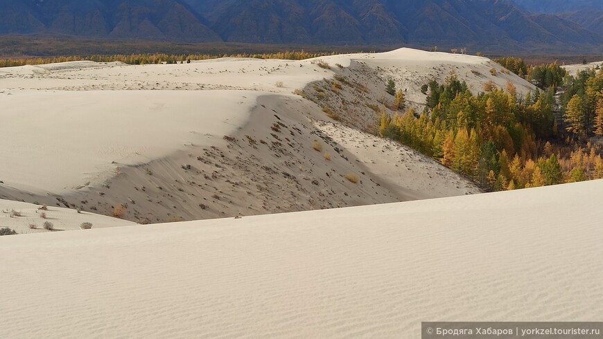 Чарские пески — самая северная пустыня
