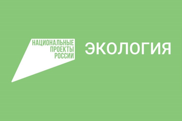 Паспорт федерального проекта сохранение лесов 2025 2030