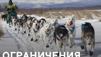 Временные ограничения на посещение природного парка «Налычево» введут на Камчатке