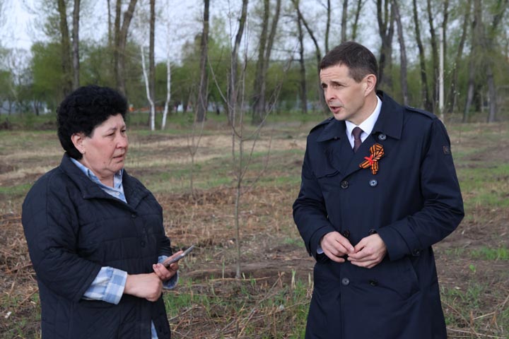 Масштабная посадка яблонь стартовала в Абакане