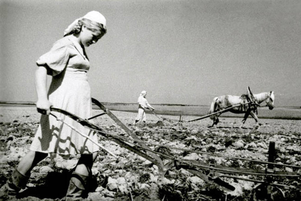 Как в военном 1944 году сеяли хлеб сталинградцы, вспоминают аграрии