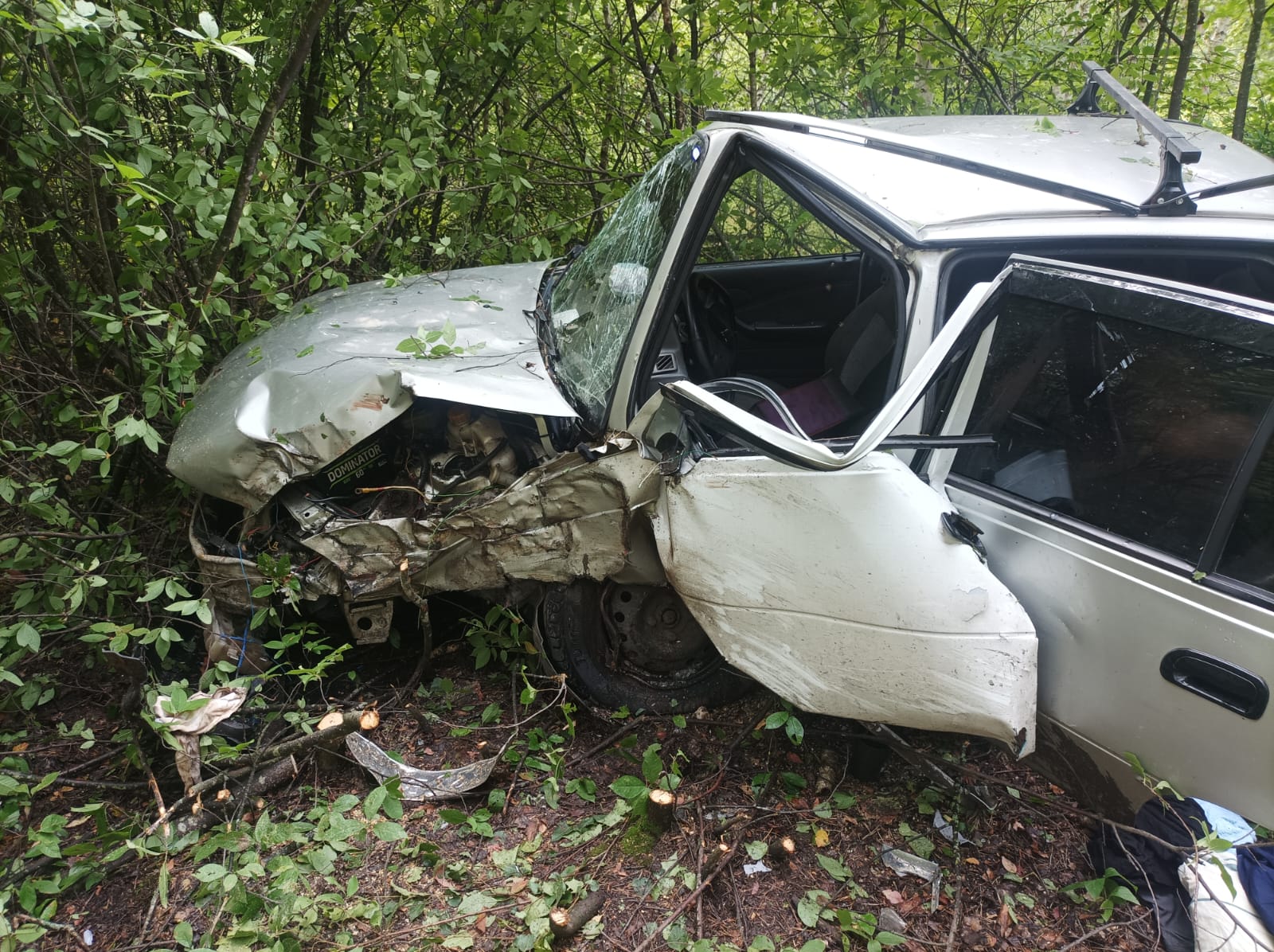Под Липецком в ДТП с врезавшейся в дерево Нексией погиб водитель