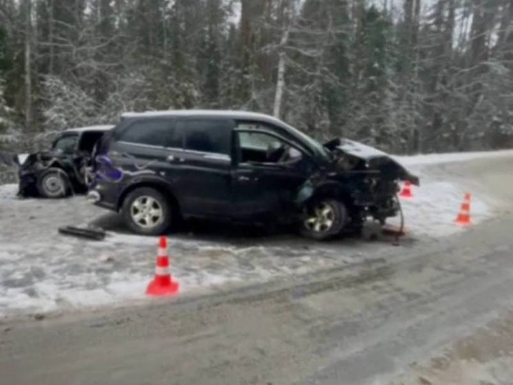 Автомобили разметало по трассе после ДТП в Нижегородской области