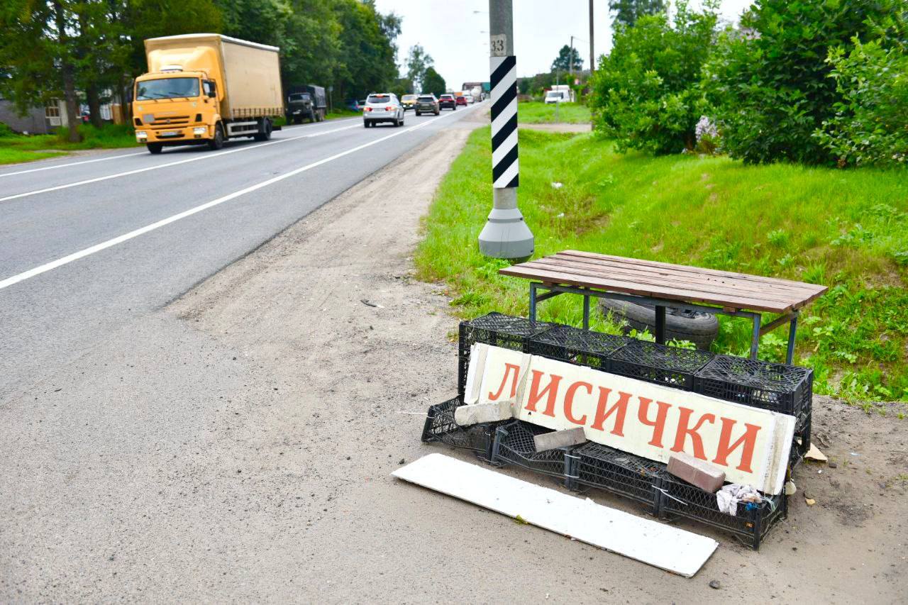 Михаил Евраев проинспектировал состояние придорожных территорий вдоль трассы М8 в Переславль-Залесском округе