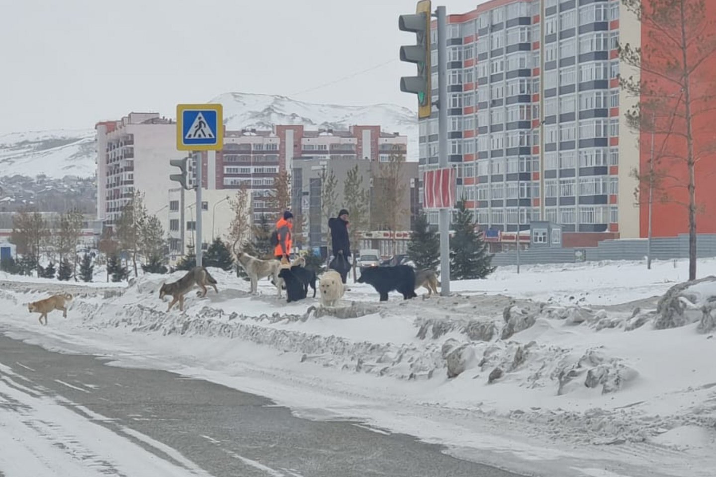 Алма ата усть каменогорск