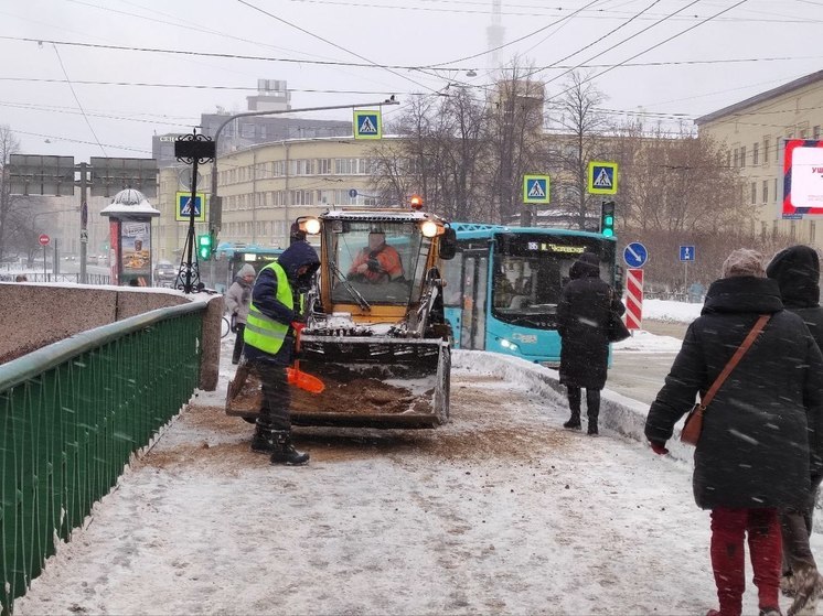 В Петербурге за день выпала половина месячной нормы снега