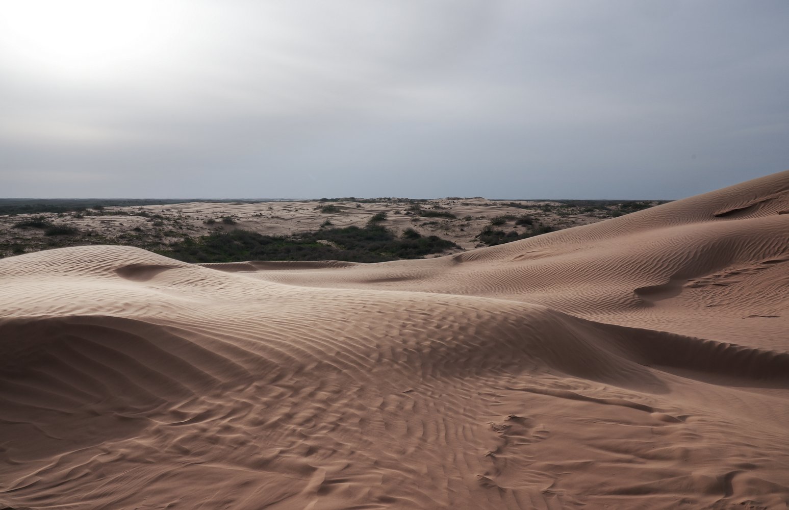 Фото: Андрей Каменев