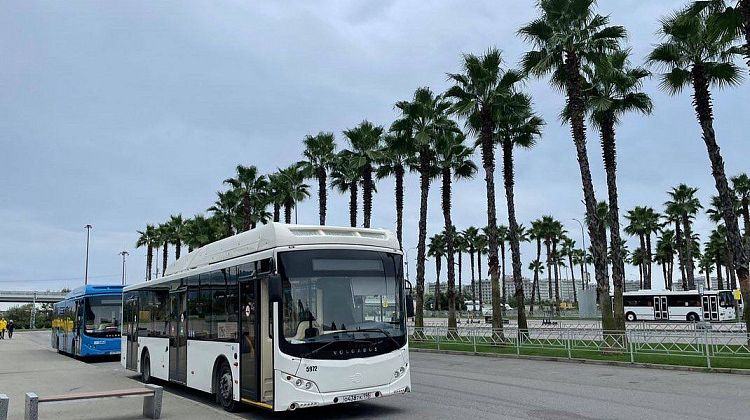 Автобусы Сочи переведут на экологичное топливо: появится сеть газовых заправок