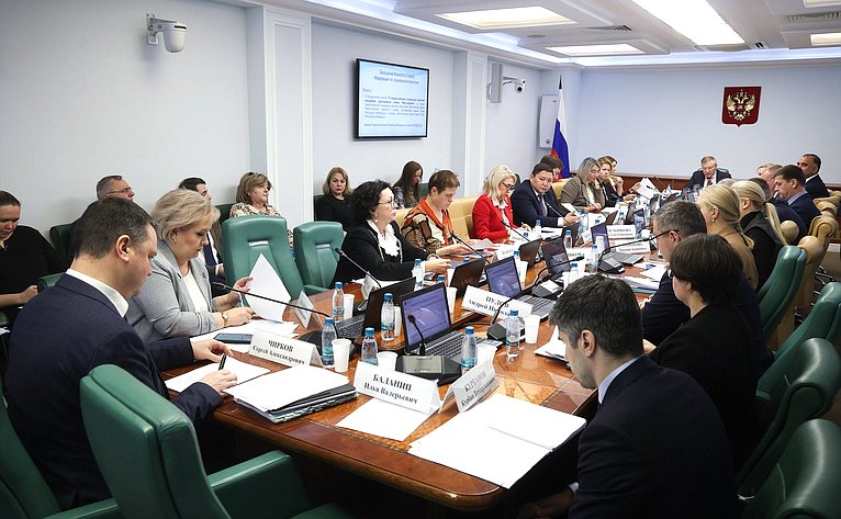 Заседание Комитета Совета Федерации по социальной политике