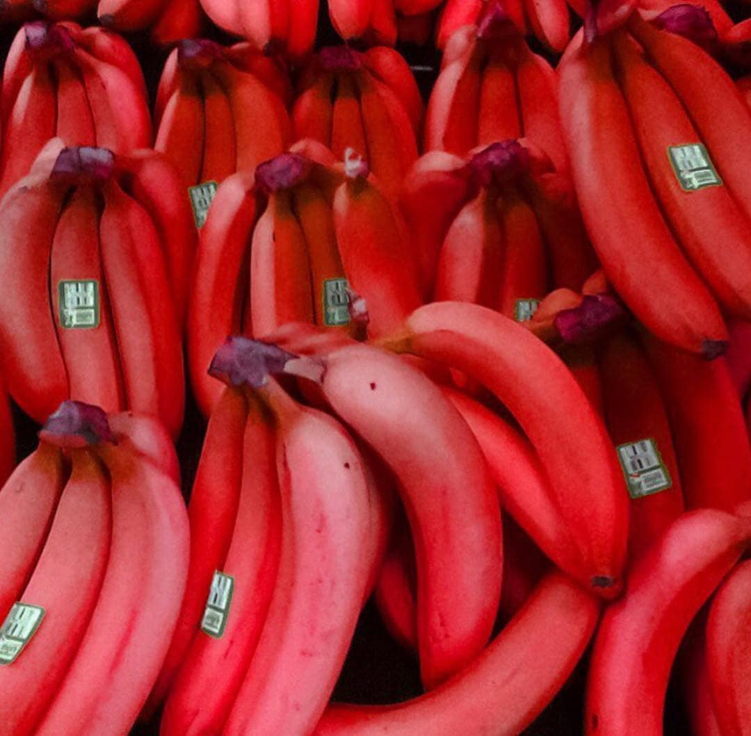 Va ban. Бананы красные. Необычные фрукты. Сорт красных бананов. Цветные бананы.