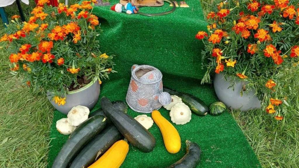 Праздник цеппелин 