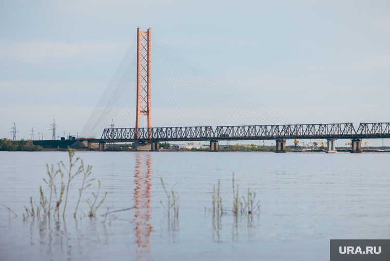 Лето в городе. Сургут, мост через обь