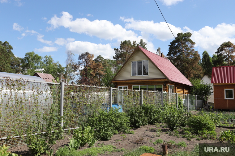 Почему дачи. Раскупаем загородную недвижимость.