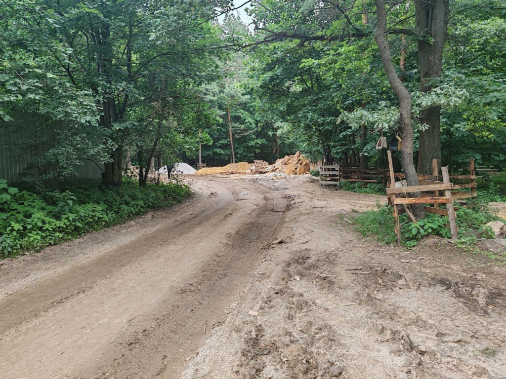 Какие пожелания дзержинцев учтут при реконструкции Томилинского лесопарка