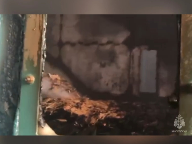 МЧС Карелии показали кадры с пожара на ДОК «Калевала»