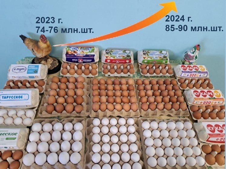 В Тарусском районе расширяют производство куриных яиц