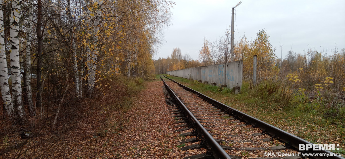 Московский суроватиха электричку